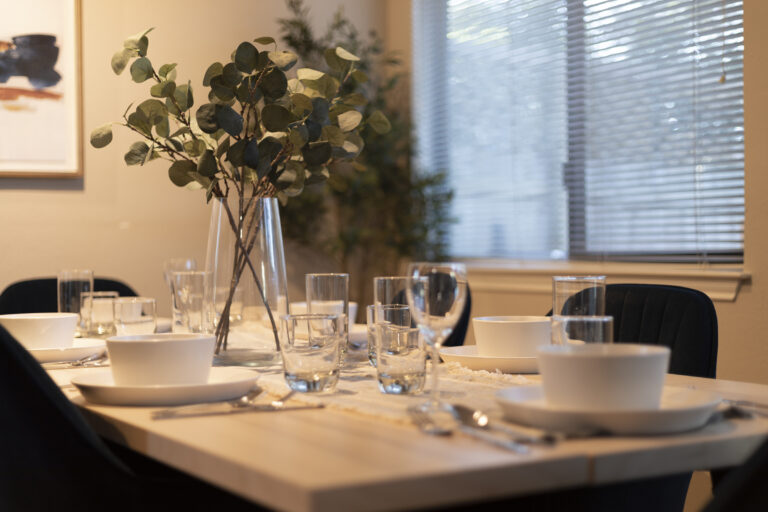 kitchenette, laundry, cleaning basics