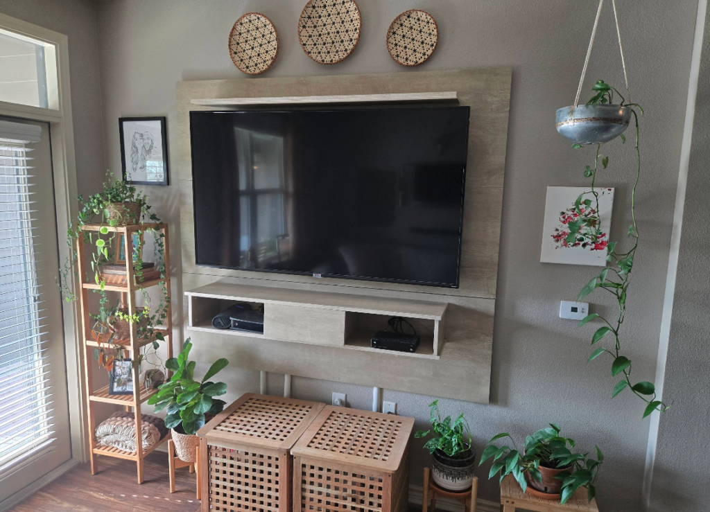 television living room
